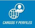 Cargos Y Perfiles